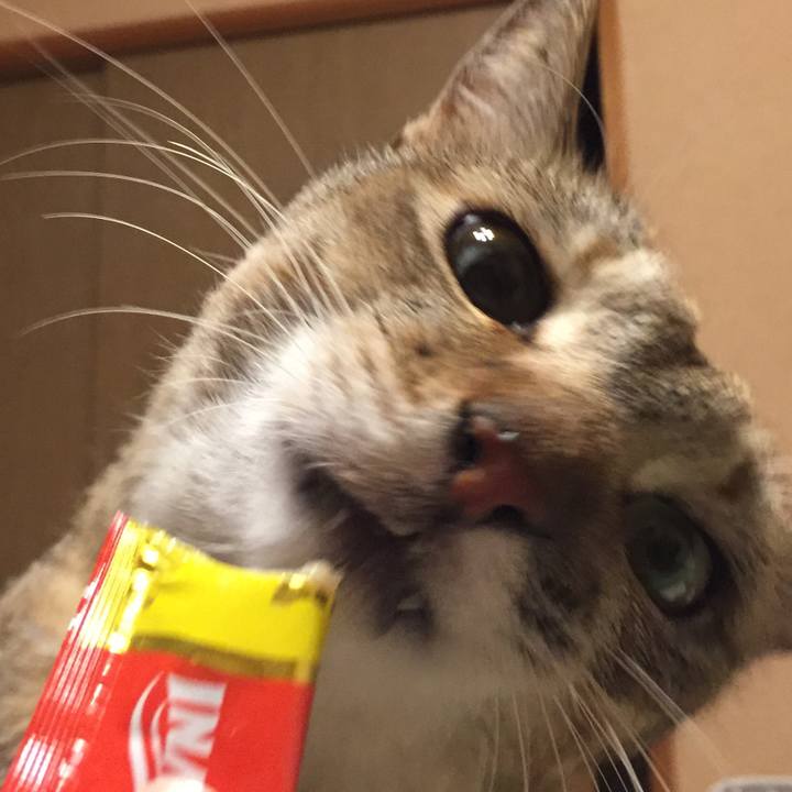 26e0df83 c60a 451f 8b90 76e36c78077b 1552052501195