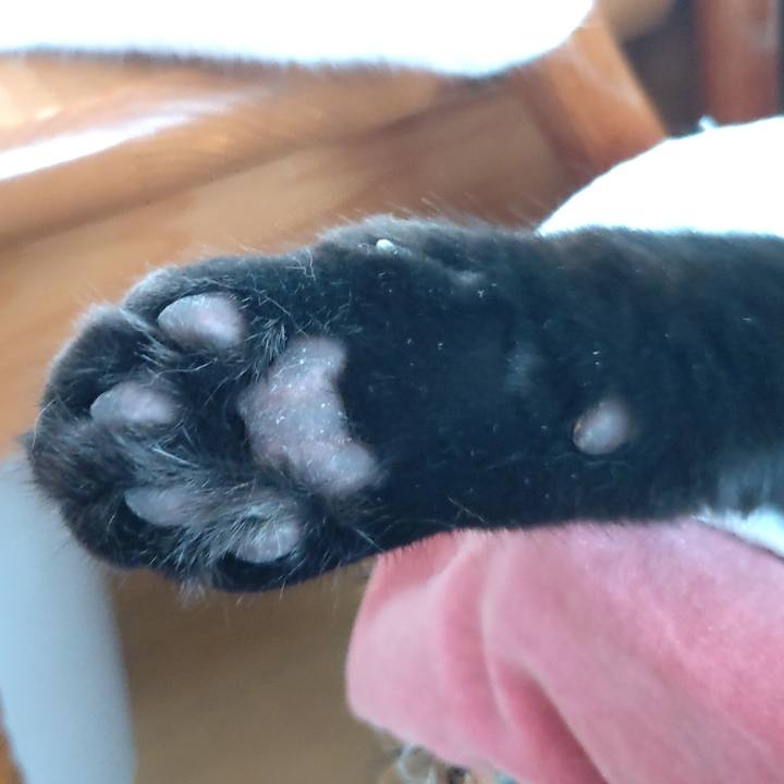 26e0f529 ad0b 4eed 9a44 7891ccd8e692 1690029238738