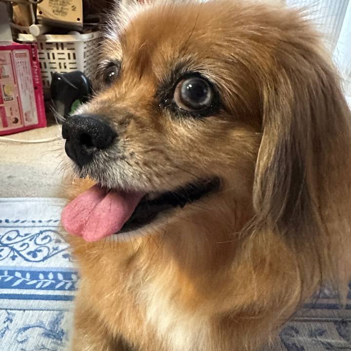 26e1003e 7b85 4080 8704 0fb21b529d59 1725916242768