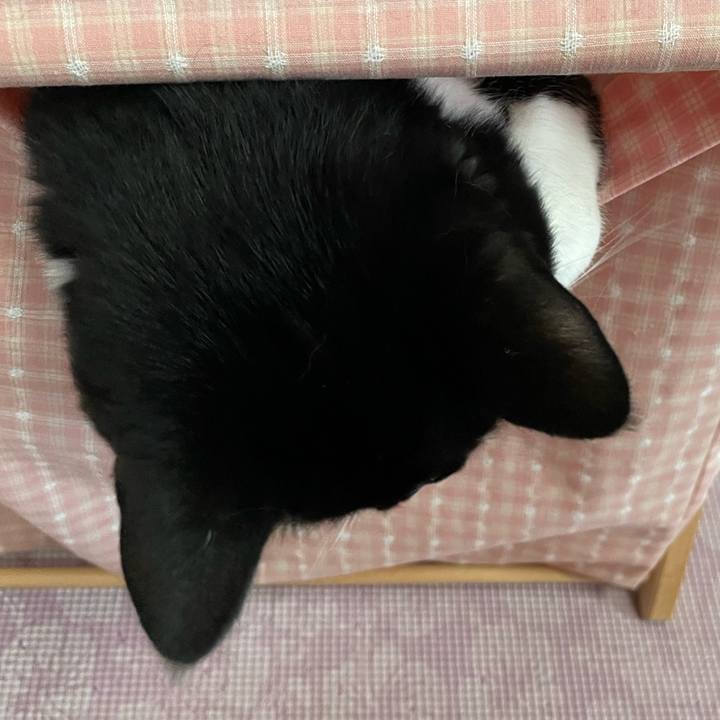 26e109ca ef20 424a bd7e 9cb4edb4178e 1654998593823