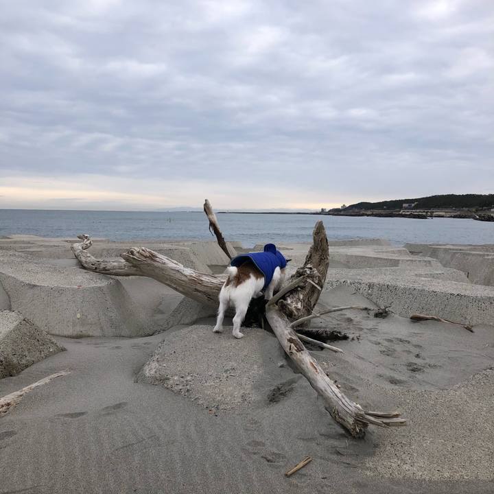 26e12905 a325 4fb7 b82f 842df016d2a1 1582934303512