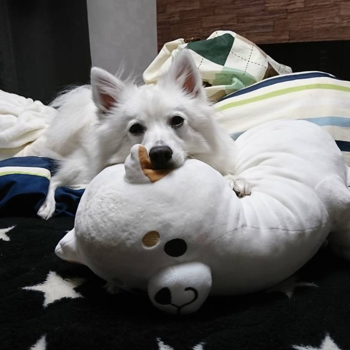 26e155df 7cb2 4f90 a1b0 27fd2c6c9d82 1543418690179