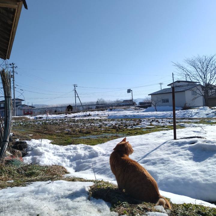 26e17e3e 9847 4ee4 861e 16182ac5dacb 1703727787467