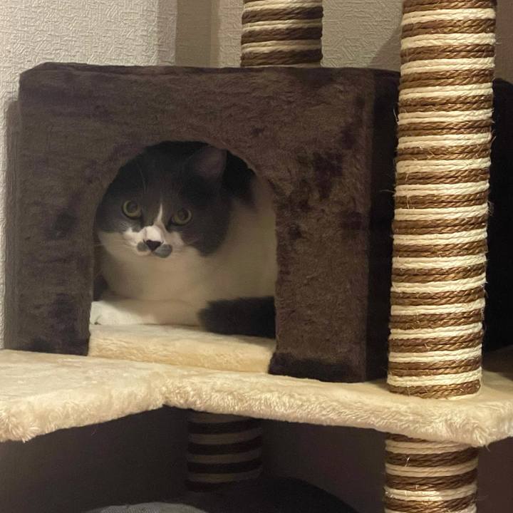 26e19d2b 8bdb 4b68 a29d 7ac0fd07779c 1664801054696