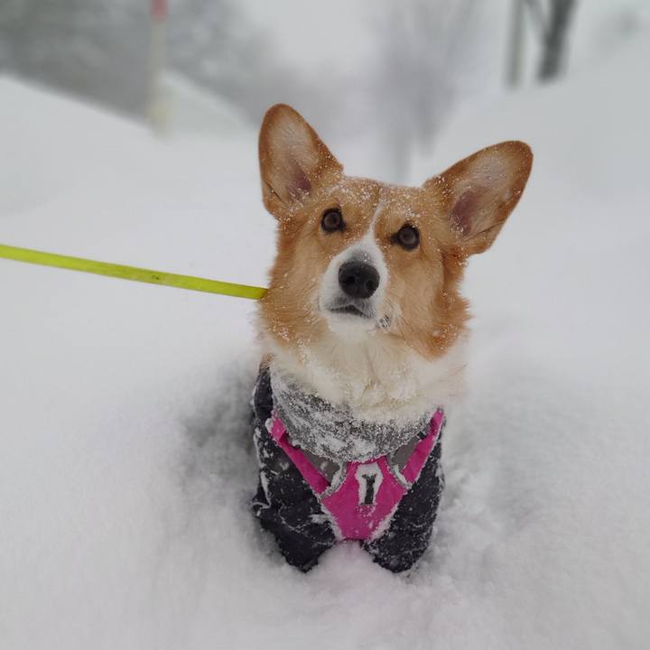 26e1a5ca 1f8f 4458 a233 a560fff1ea5c 1769316938039