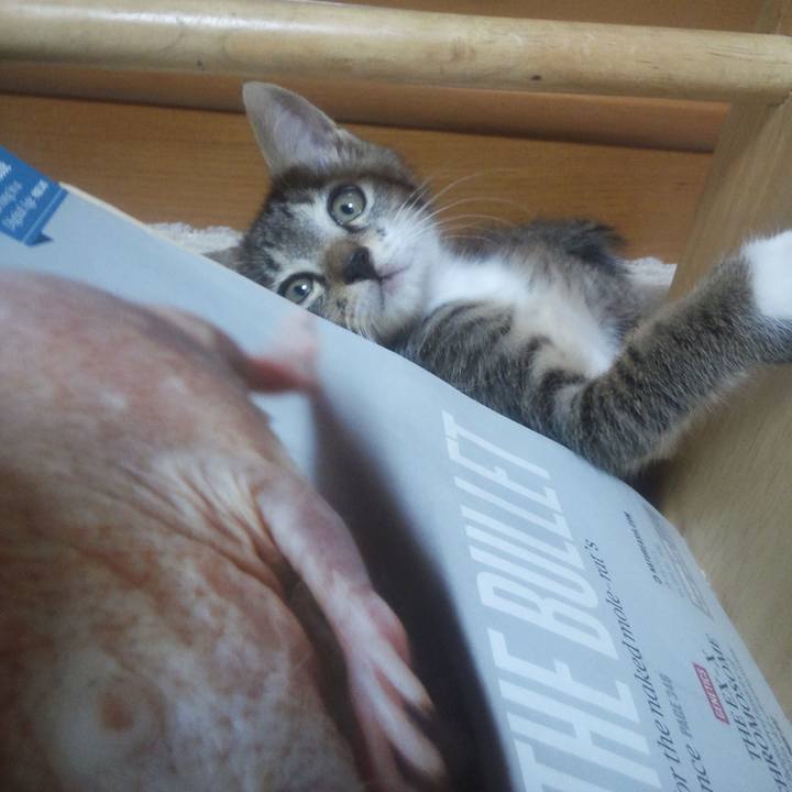 26e1bc09 ca34 4cd9 9123 ba44da366147 1607865219880