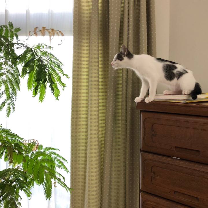 26e1c9a9 44fe 4962 8315 739c16f1dad5 1564289466253