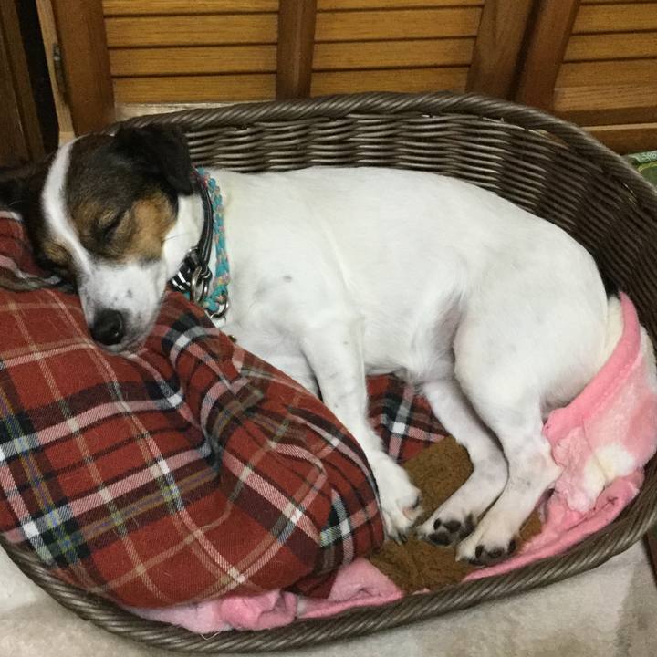 26e20b34 f5a0 4b59 9a36 177b3c26ed6e 1508241795277