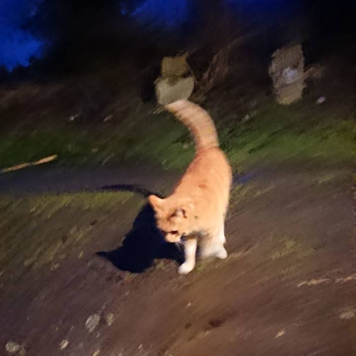 26e22217 d5a7 43f9 a414 77574599836a 1584438244750