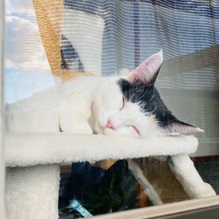 26e23b0a 013d 405a 809f 3b416c771b69 1763877560195