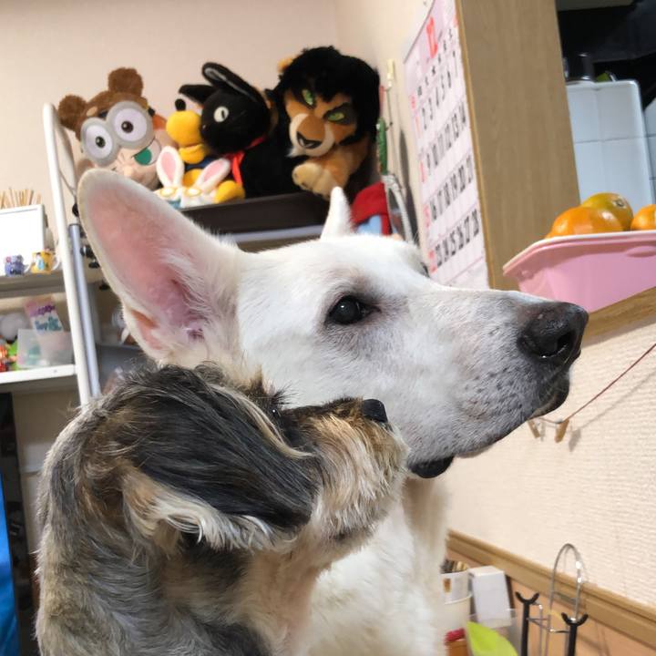 26e23efc 8e16 4d2f a159 4794a6f942b9 1575787060776