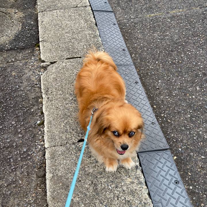 26e251d0 3d1d 413f 93ae 42b80c20fff7 1596490208233