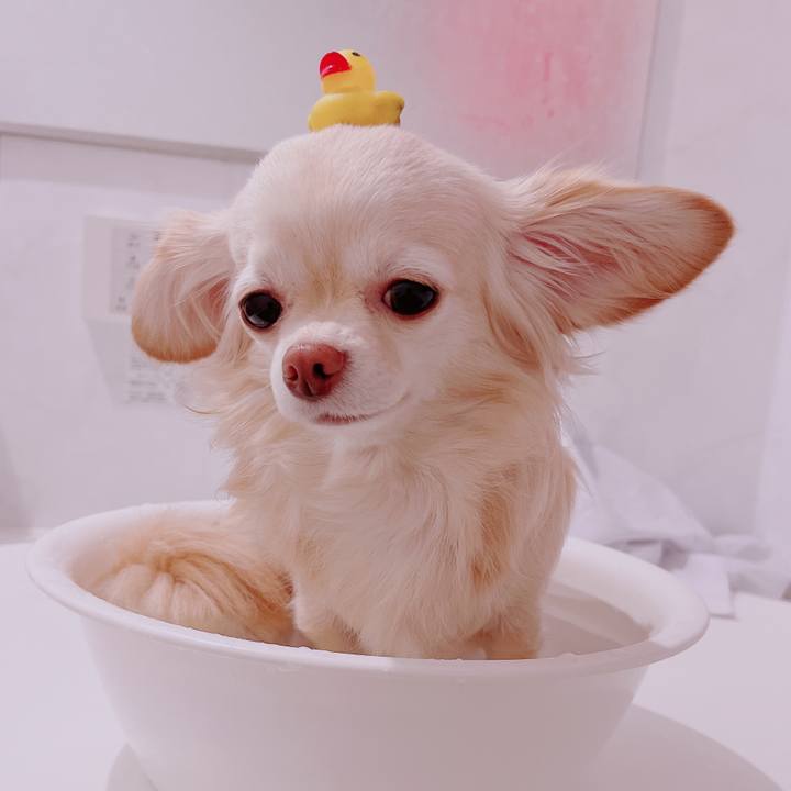 26e27a27 d271 44de 8778 fb546fdf9616 1679309964057