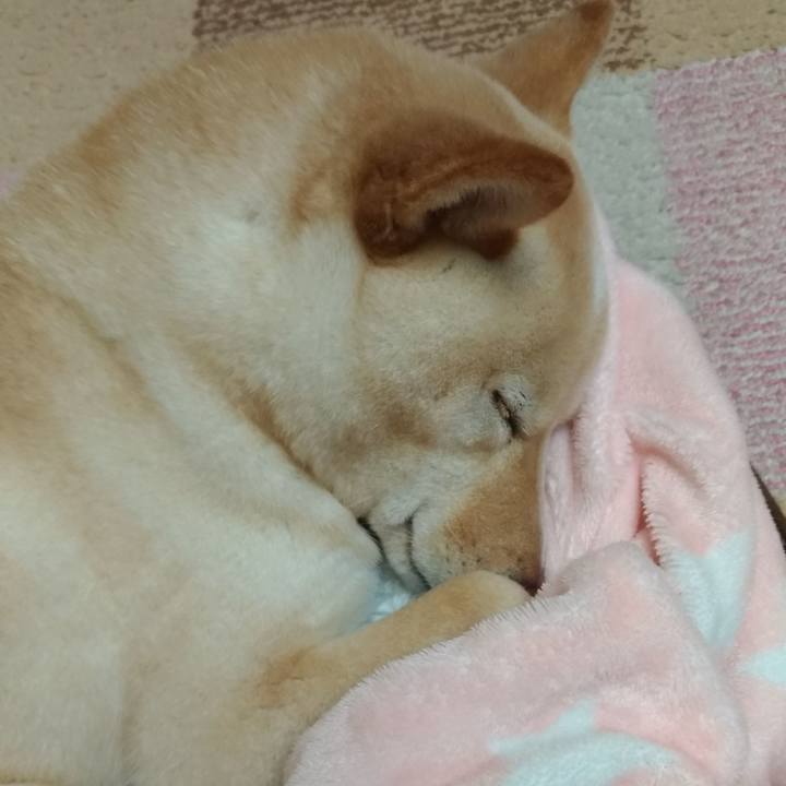 26e290fa 698b 484a 9d1d 45778ce38b72 1551442508670