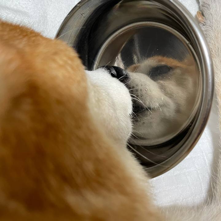 26e29f68 7215 49d0 acdc f6b2d6d181f5 1631266100719