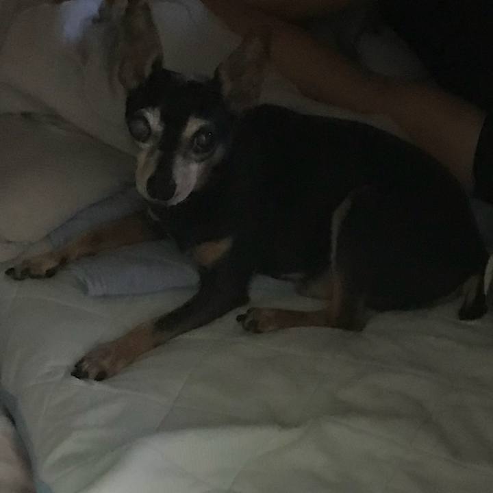 26e2b11e 8878 4530 9bbc 3bdf30bc779c 1567774476042