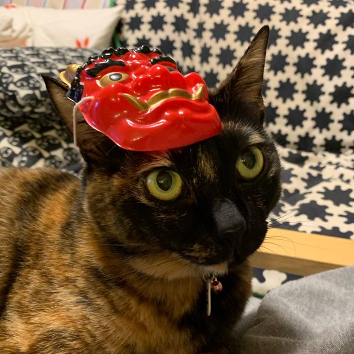 26e2f0db 8501 4fa7 9295 9c3633cc1ac1 1549193758819