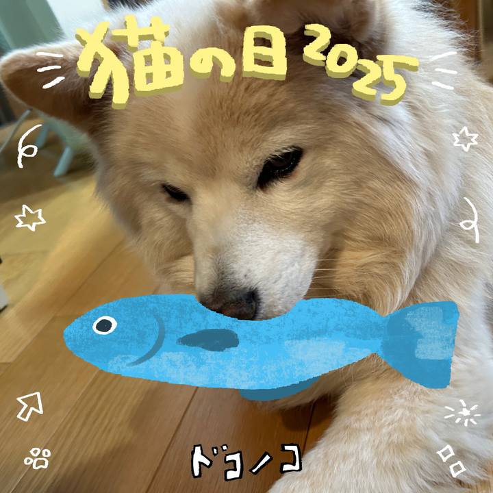 26e33230 02cc 4d29 a0fe bc492aee1575 1740196219574