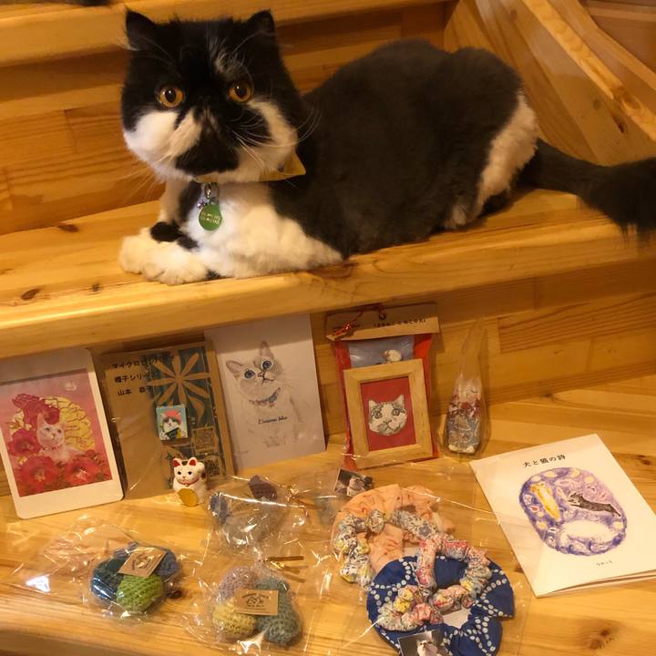 26e3453e 622f 4e25 be83 4382c209d660 1664706022254