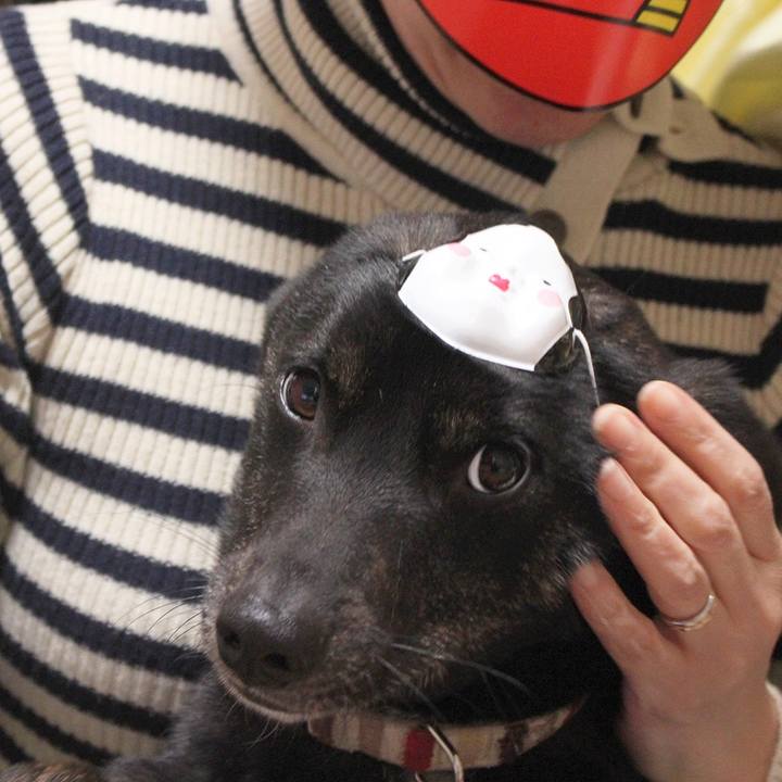 26e3b855 7ebe 4295 b382 253f0984fc41 1517788083753