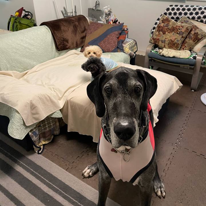 26e3c53b 5427 48df 9232 2f65d9715923 1655071431097