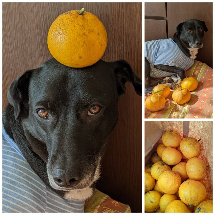 26e3d8bd 8ef6 4b2c bc5a be1ef2396592 1641726316462