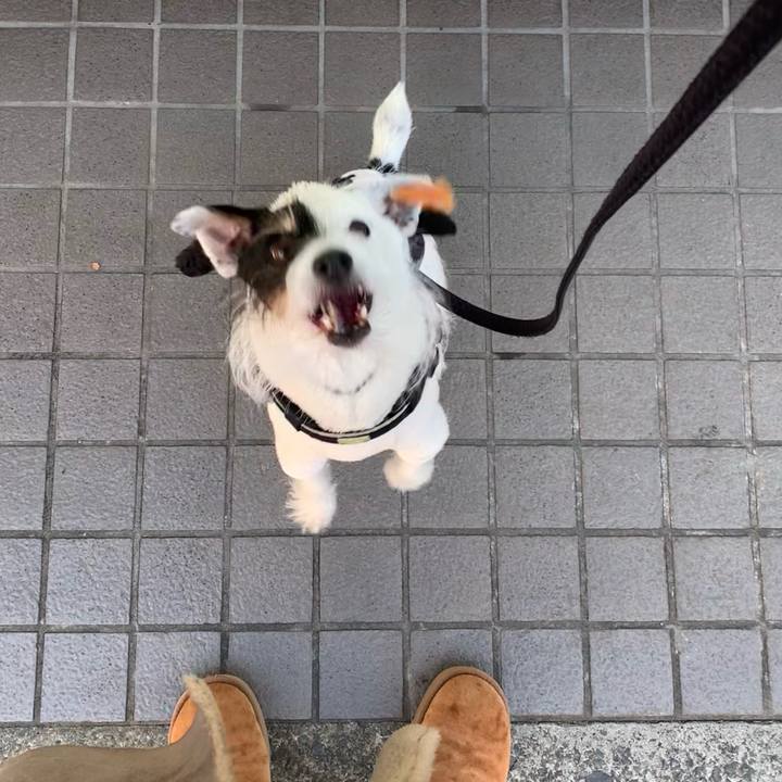 26e3ed72 e0ed 4b61 afd9 a0df7e50a4d4 1704847800580