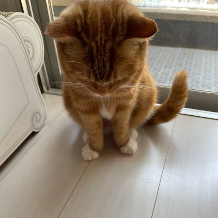 26e41846 7a91 43a4 ad13 1eada06ecb84 1653789924947