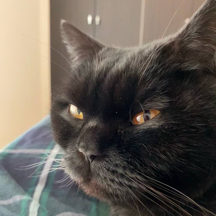 26e42416 d54f 4508 83ab db3ead5f8916 1611358078251