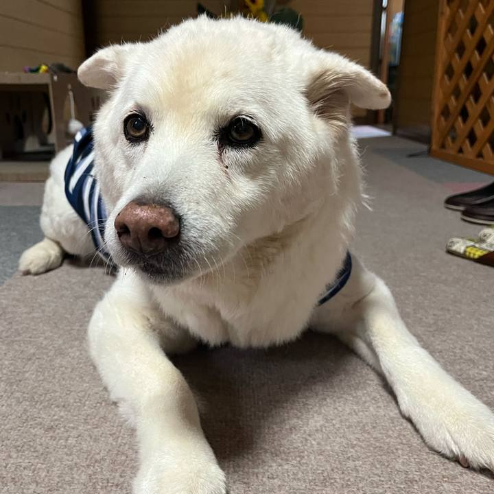 26e43730 ff22 4510 b0d5 a6954de4c631 1766100354225