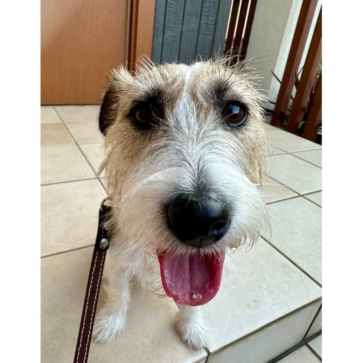 26e44cd9 3dae 4591 b547 fd4cec9d3054 1726325039465