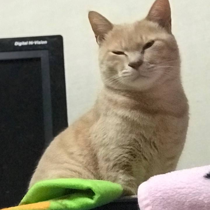 26e46f74 e14f 4dac b90c 34ea9f1394a2 1579160146952