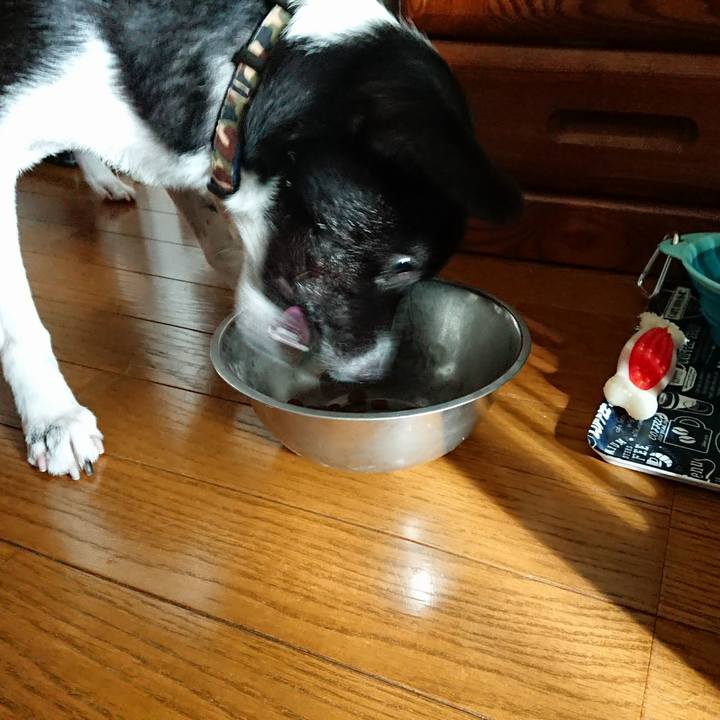 26e48bc3 164e 45c4 a648 97c520bcfecb 1510751146356