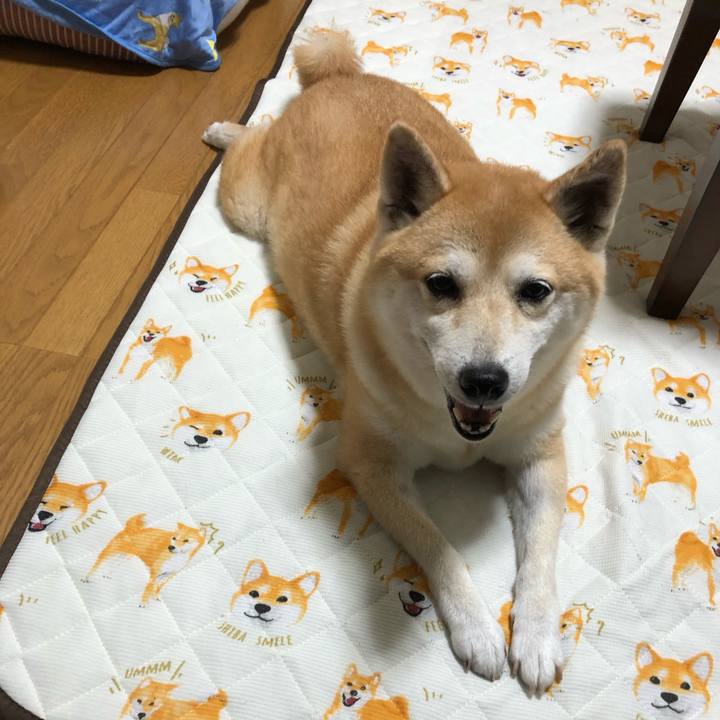 26e4d91a e5ad 480b 94a8 fd252f5ace08 1566285294851