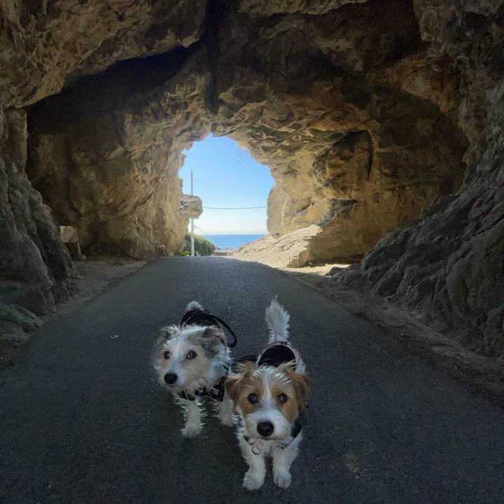 26e536c6 271e 4388 a8d1 3667ce309aa1 1771501202132