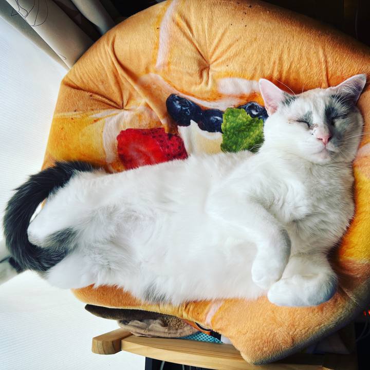 26e54061 e090 429a 9c71 2d800f67fd65 1651857795314