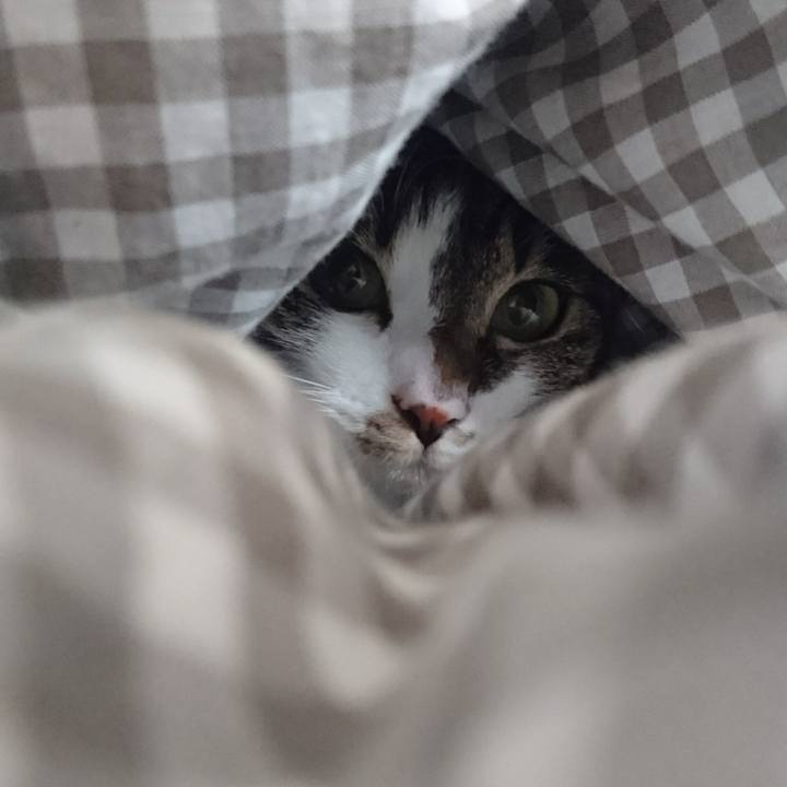 26e56190 c97d 48de 9250 74f919a093ab 1514003063340