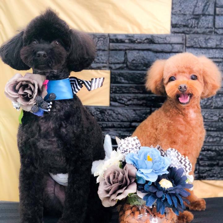 26e585dd 18f4 4732 a946 23fdd1dfb653 1598056531683