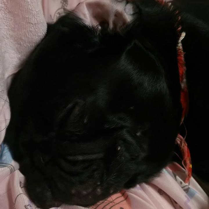 26e62c5e cbbf 4bc9 8ad5 8e1b82ea54d1 1537115973629