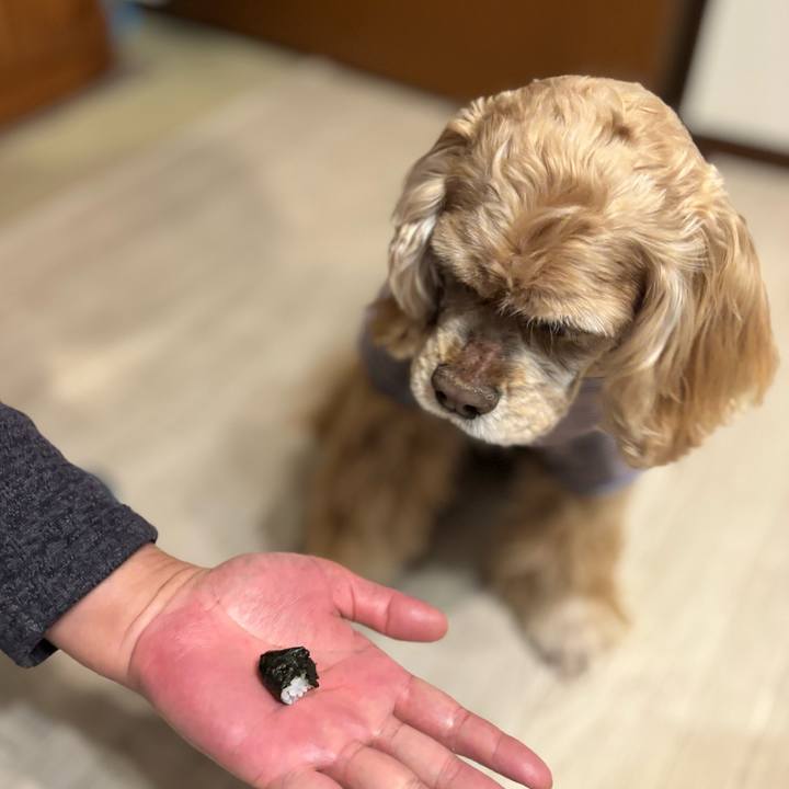 26e63aec 67ab 46b5 9d35 642418de568b 1770035866058