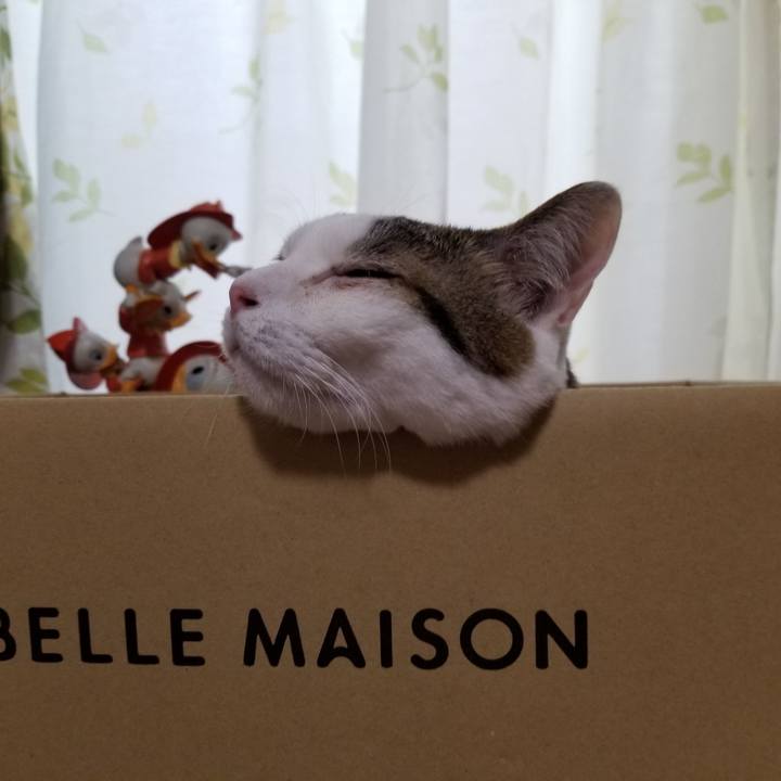 26e6544c c8ad 452b 9d4f b9f2ea6c3bbb 1615412670740