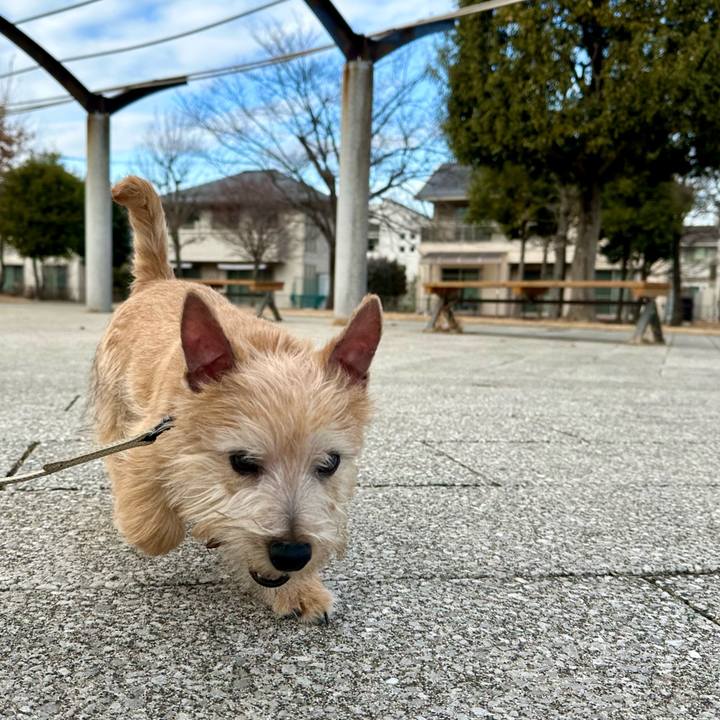 26e66527 e00c 41e5 960c 62cf0ffd3c38 1705975936447