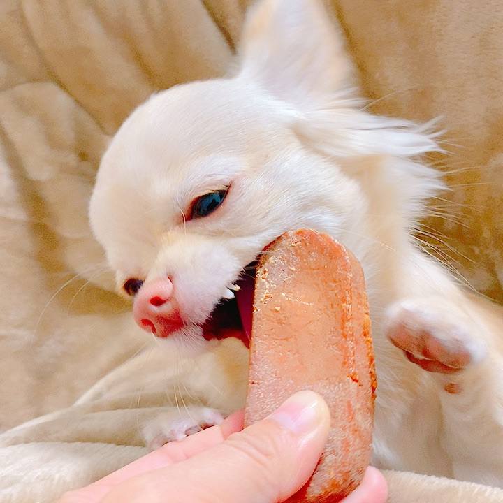 26e6c3cb 06d7 4c30 bf1e b34b1d0e2e90 1608969949837