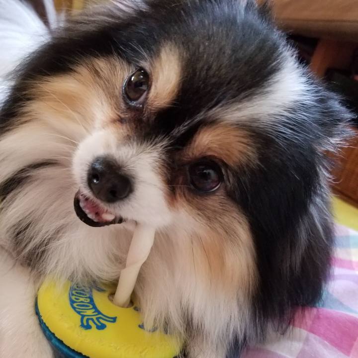 26e6d37f 2351 4579 99d2 72a38d7a3c9b 1548077577441