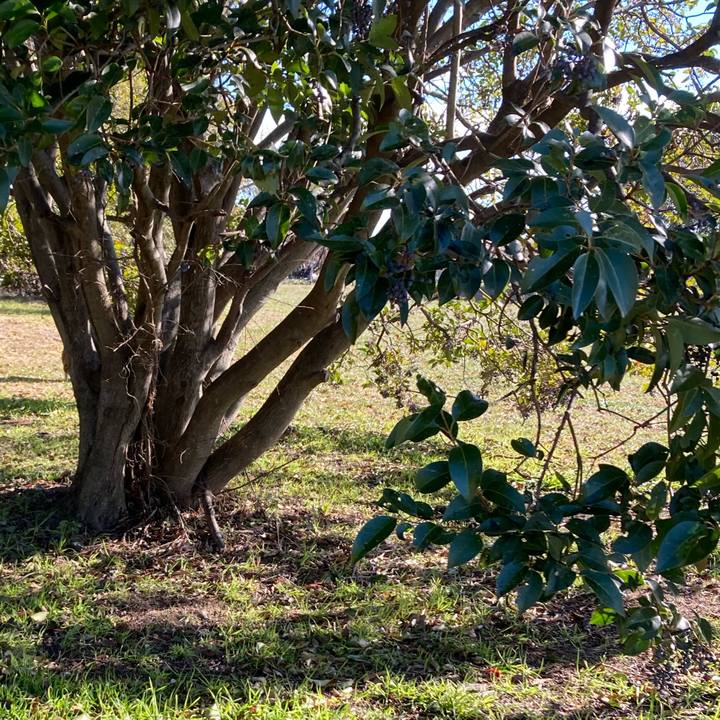 26e6ddf5 1162 4921 8875 37b0243e31ad 1641186662952