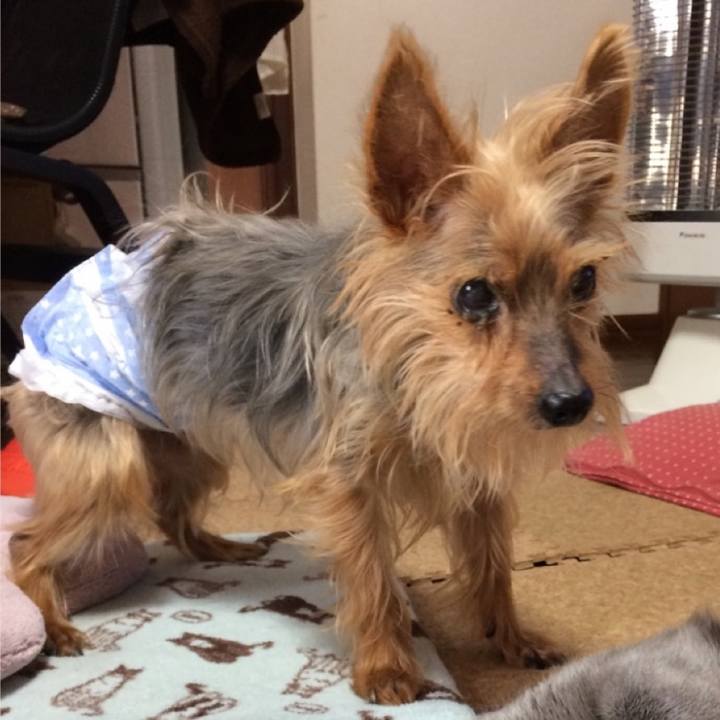 26e7152b a098 4d5c 9bcb bdf71c586e5f 1739163684228