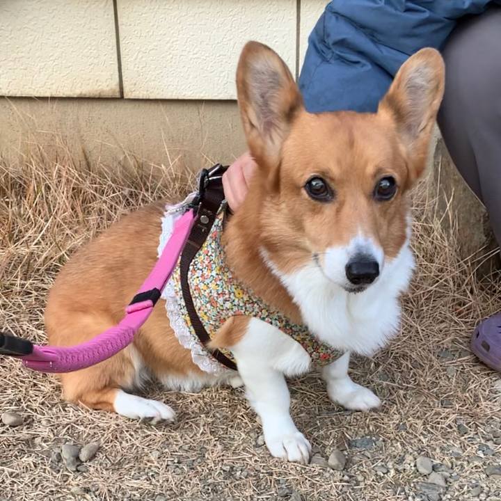 26e75d48 58e5 4422 ac49 487b9f0b6841 1670919349708