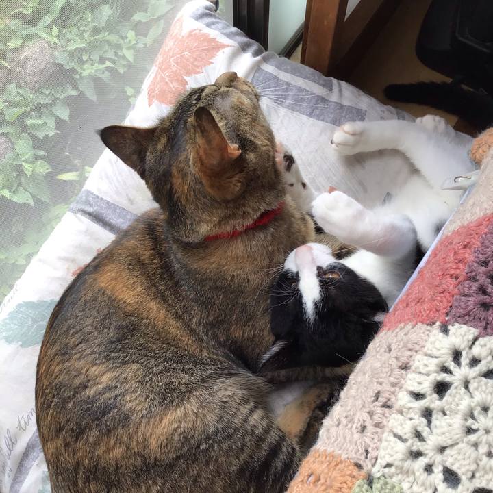 26e79f06 57cc 4114 a4e5 b66acd11704f 1631333652956