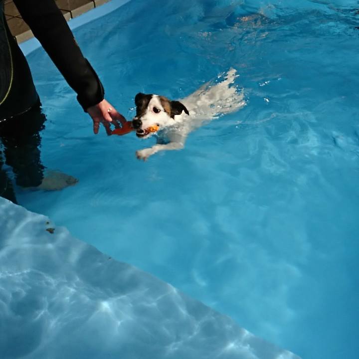 26e7b5b6 886a 463a 9982 537eca17ff2a 1518326640809