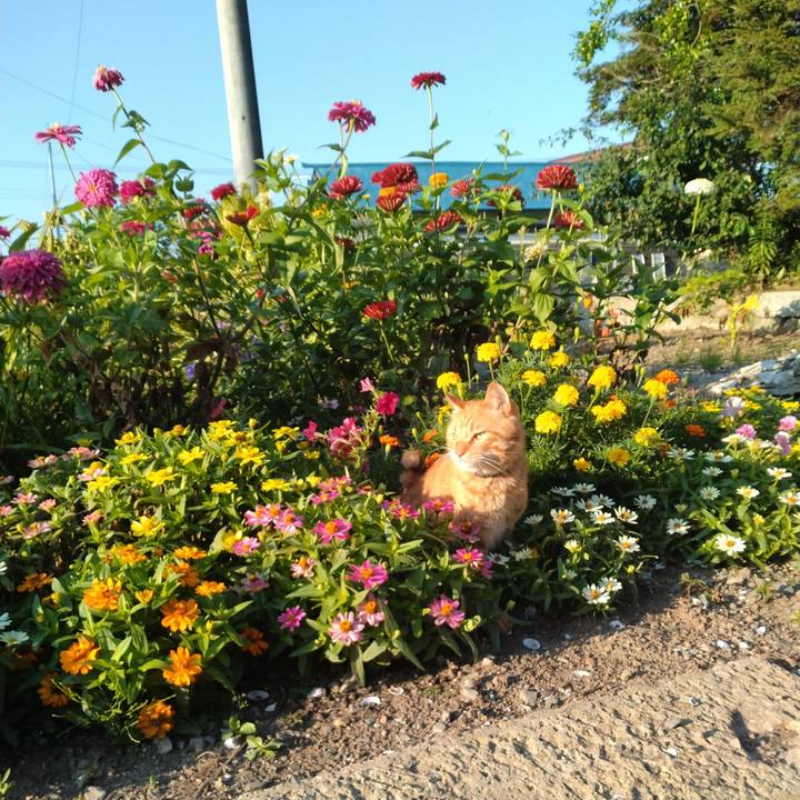 26e7f2f5 a956 460f b2be e96eb4a094f5 1691102997329